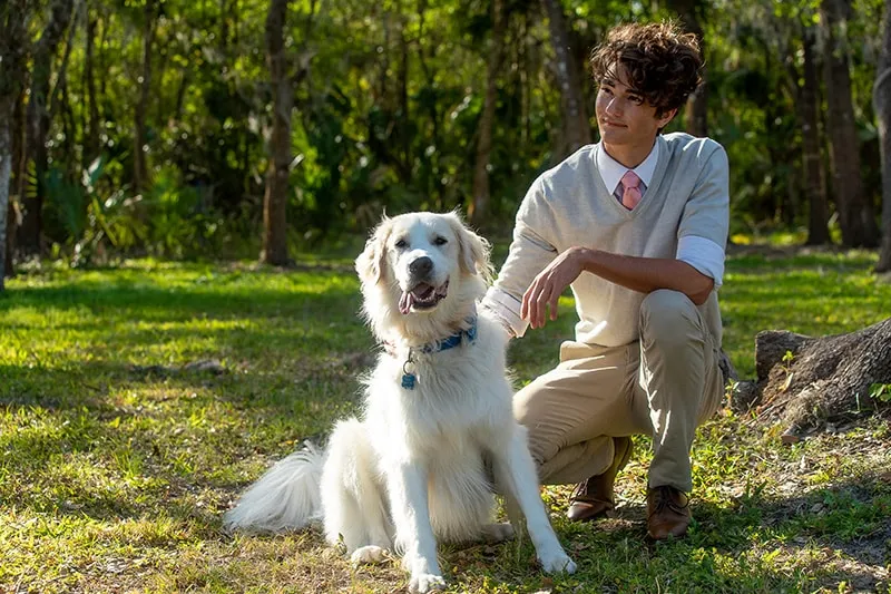 High school senior posing with his dog in a wooded area near Sarasota