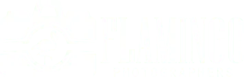 Flamingo Photographers
